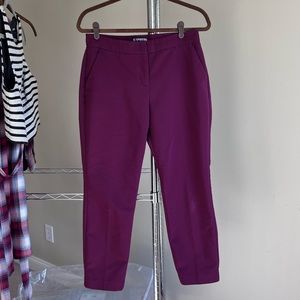 Express columnist dress pants